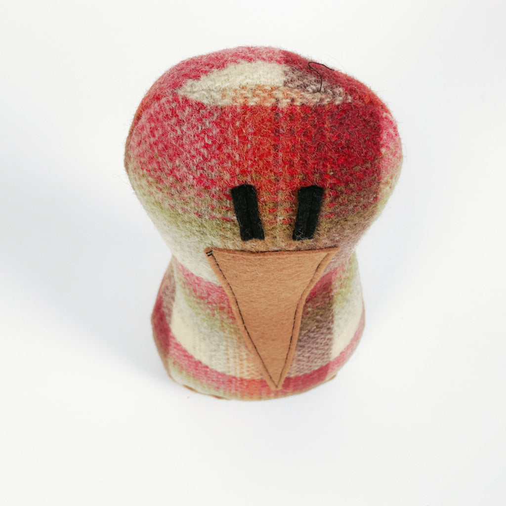 Artearoa - Colourful G.N. Kiwi - Red