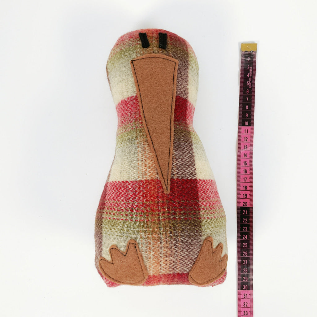 Artearoa - Colourful G.N. Kiwi - Red