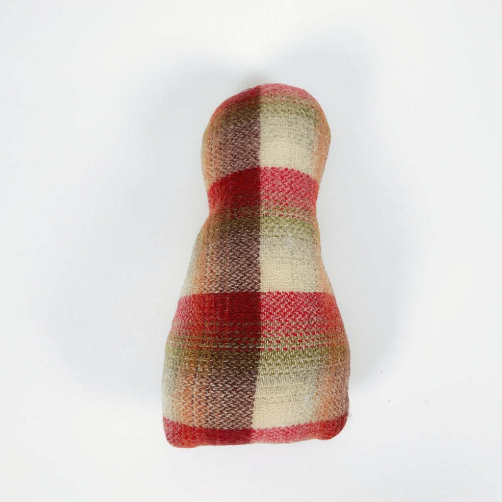 Artearoa - Colourful G.N. Kiwi - Red