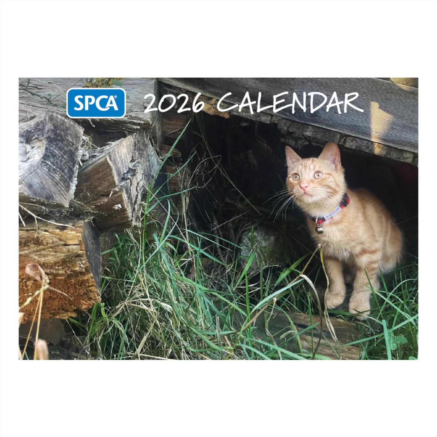 SPCA 2026 Calendar – Cats