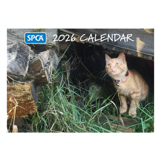 SPCA 2026 Calendar – Cats