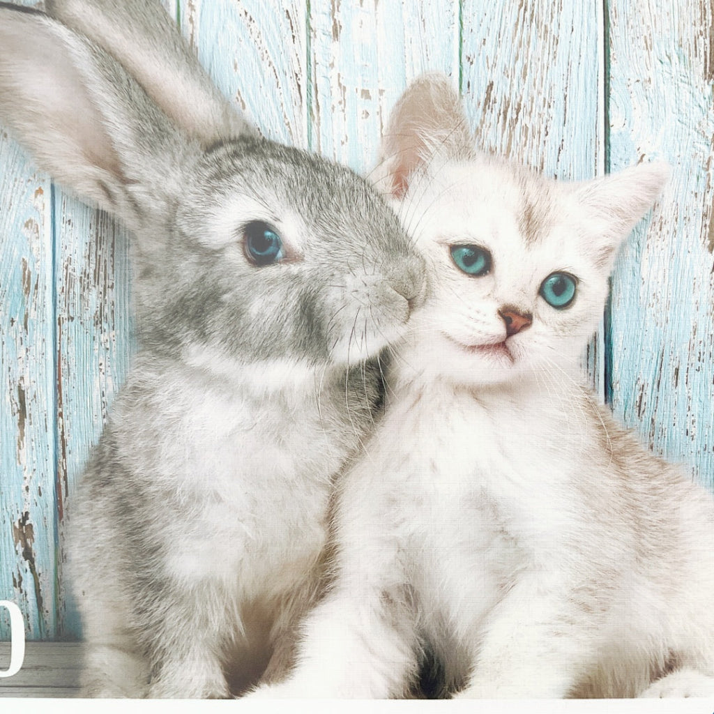 Clementoni - Cat & Bunny 500 Piece Puzzle