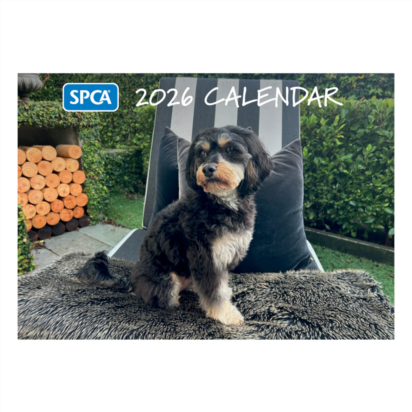 SPCA 2026 Calendar - Dogs