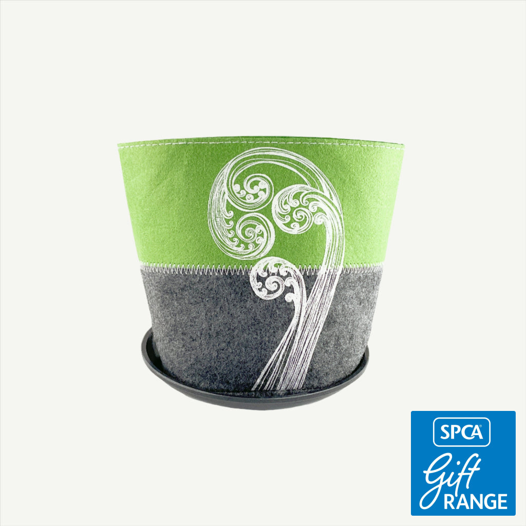 Jo Luping - Fernfrond Grow Bag