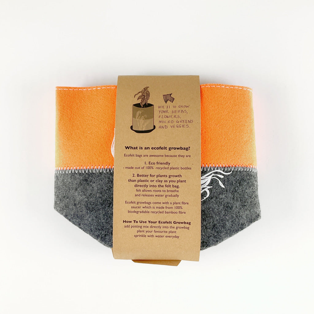 Jo Luping - Harakeke Grow Bag