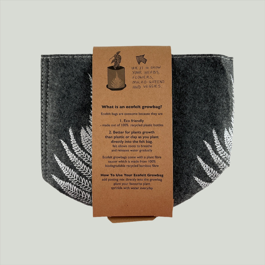 Jo Luping - Silver Fern Grow Bag