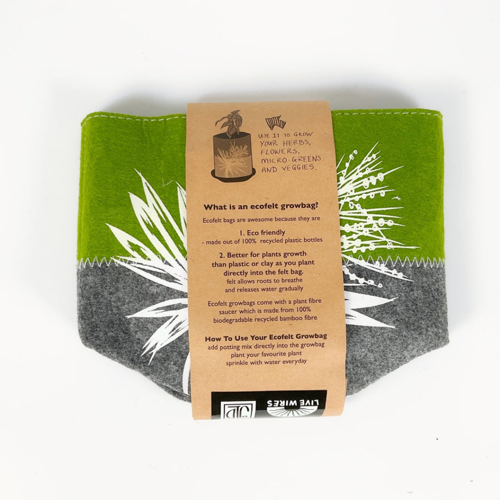 Jo Luping - Ti Kouka Grow Bag