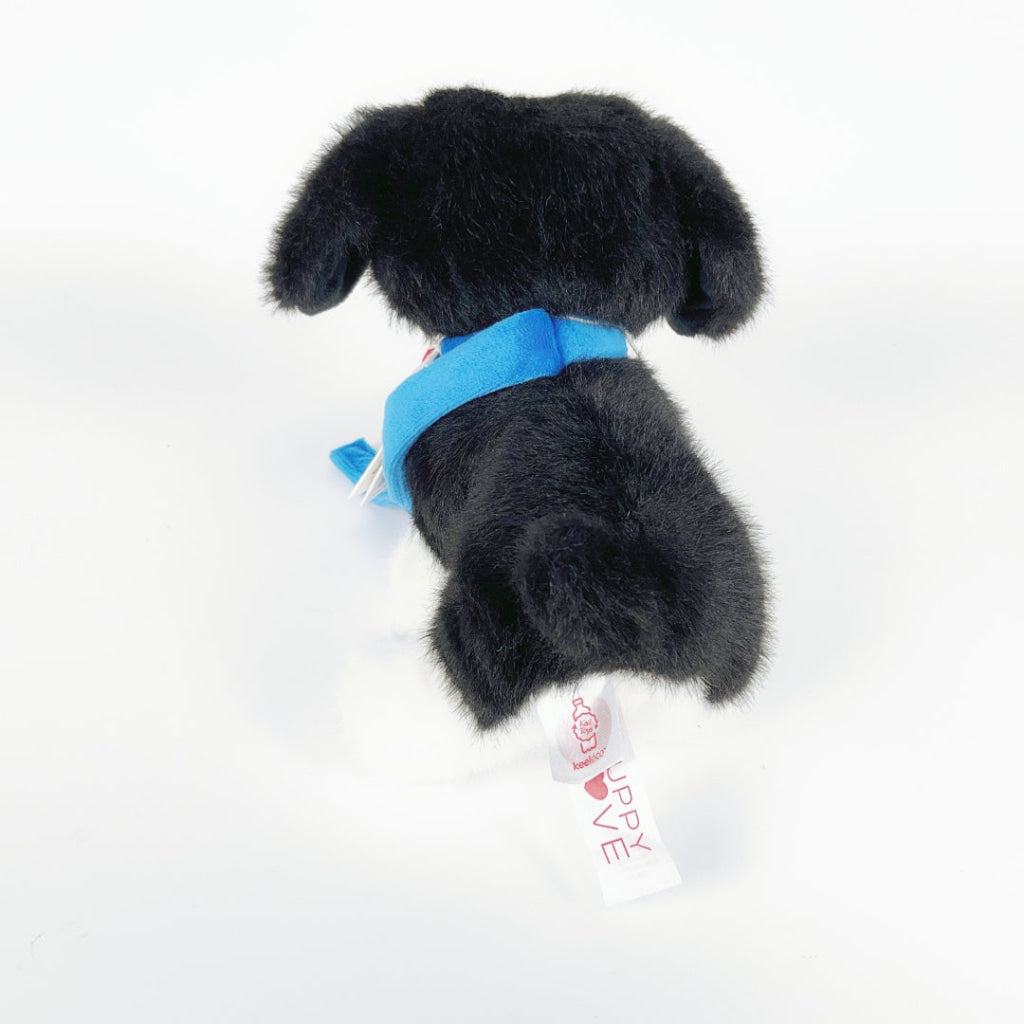 Keeleco - Puppy Love on Lead - Border Collie