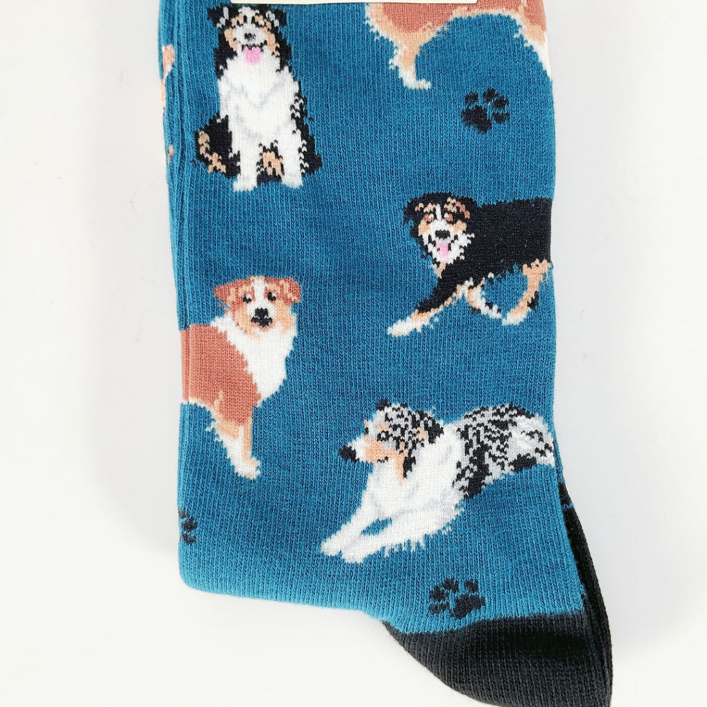 Sock Smith - Men’s Sock Aussies - Blue