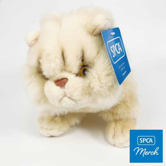Spca - Persian Cat