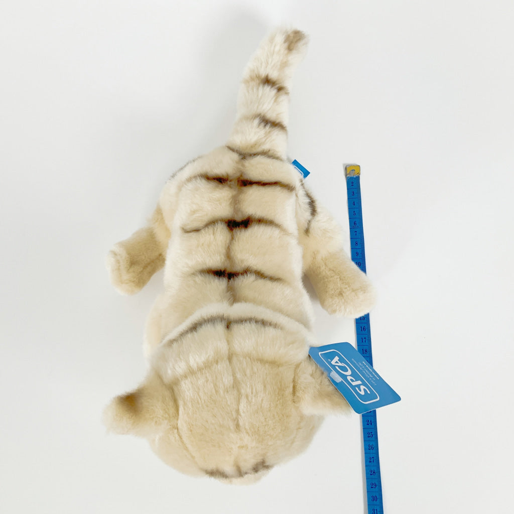 Spca - Domestic Shorthair Cat Beige