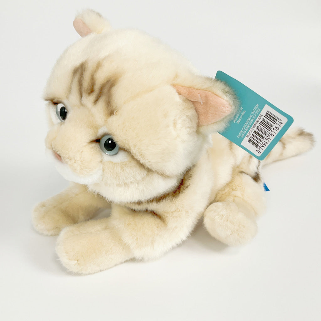 Spca - Domestic Shorthair Cat Beige