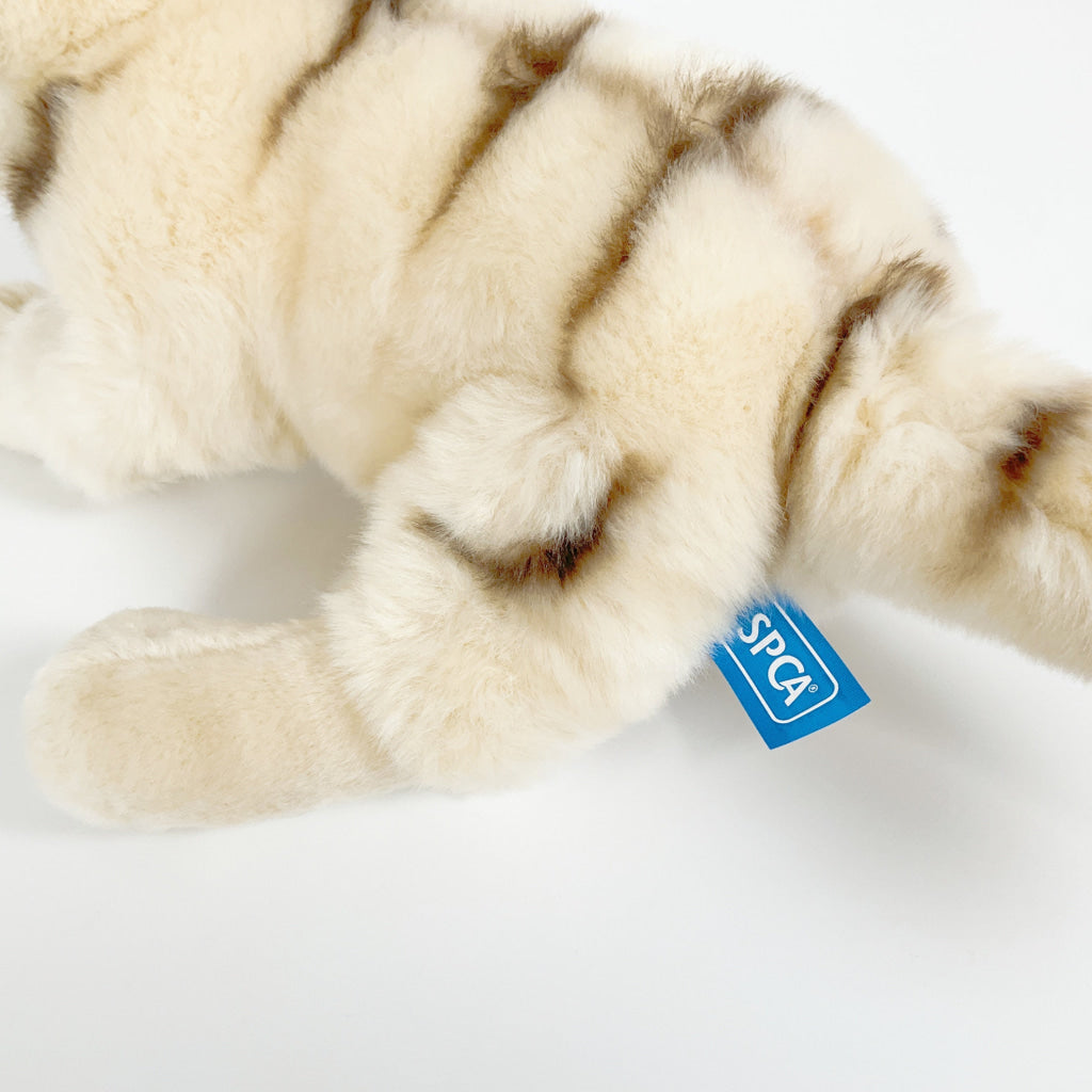 Spca - Domestic Shorthair Cat Beige