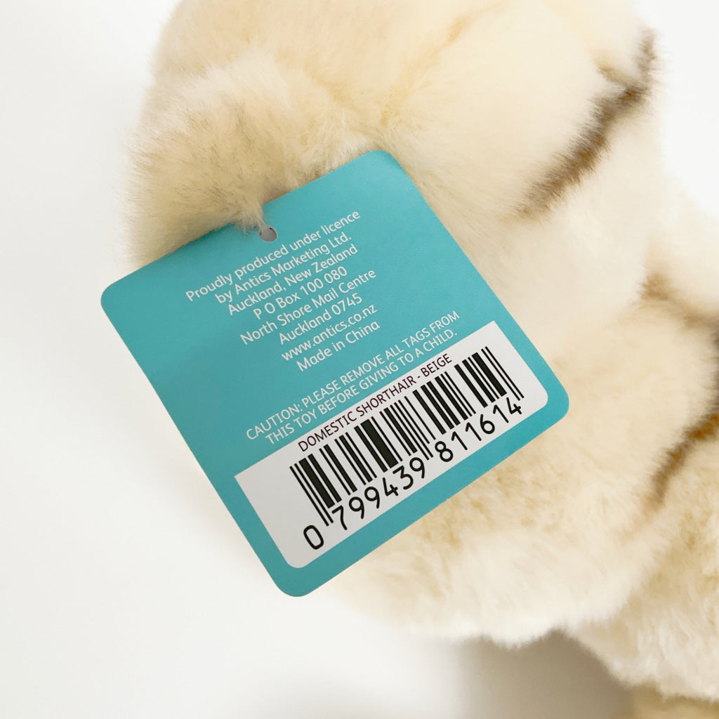 Spca - Domestic Shorthair Cat Beige