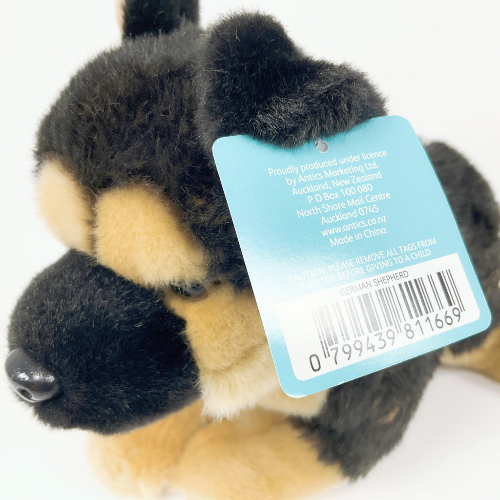 Spca - German Shepherd Dog