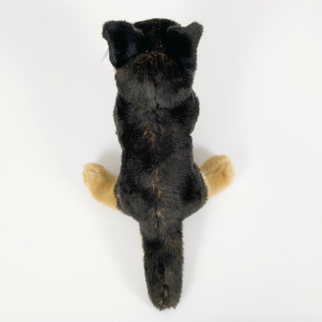 Spca - German Shepherd Dog