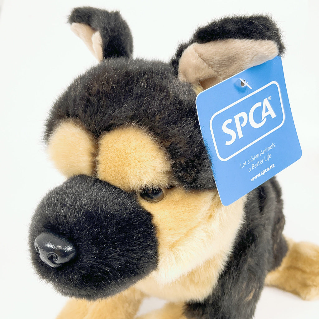 Spca - German Shepherd Dog