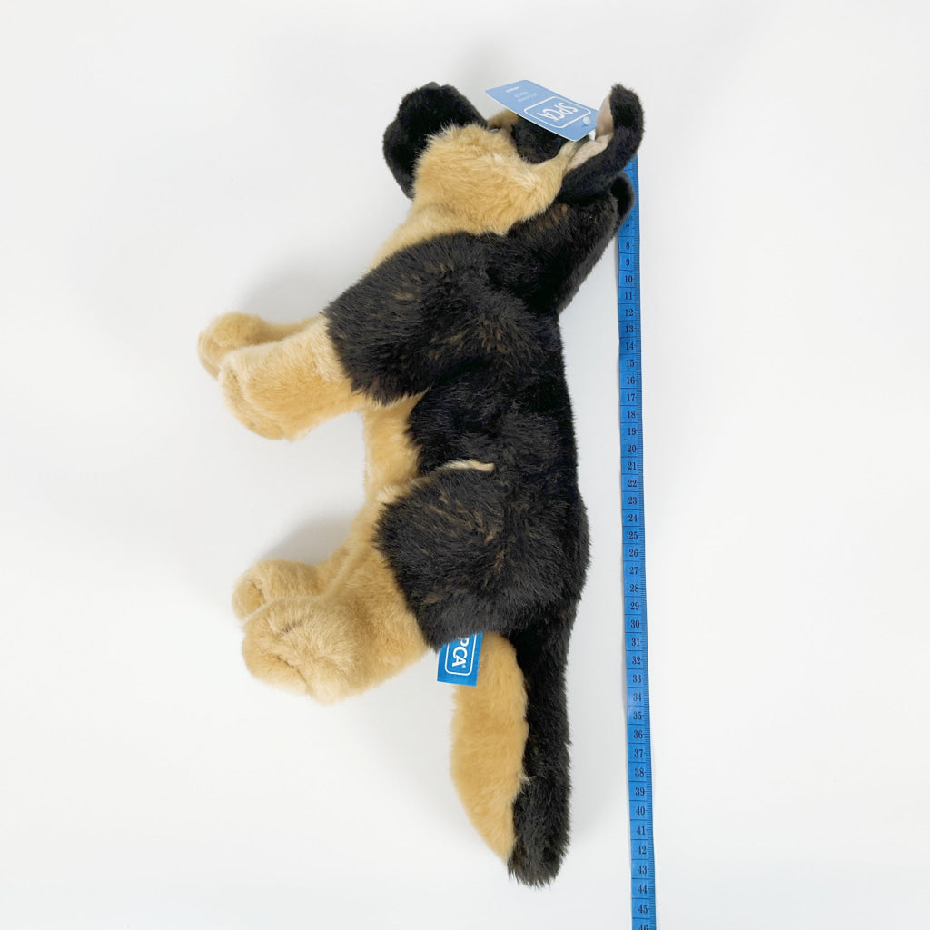 Spca - German Shepherd Dog