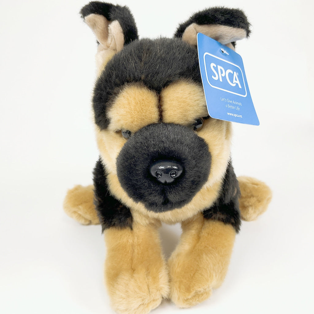 Spca - German Shepherd Dog