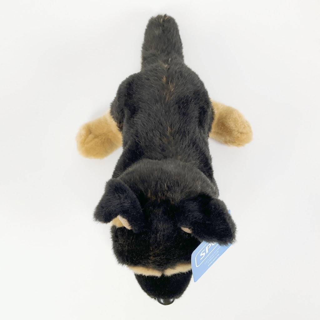 Spca - German Shepherd Dog