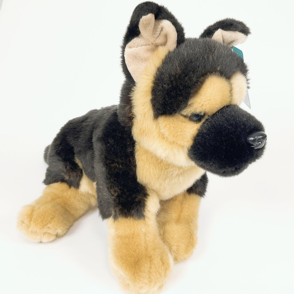 Spca - German Shepherd Dog