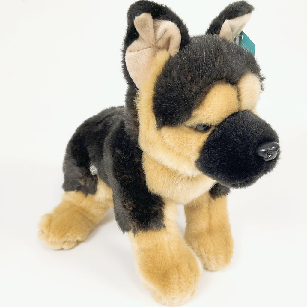 Spca - German Shepherd Dog