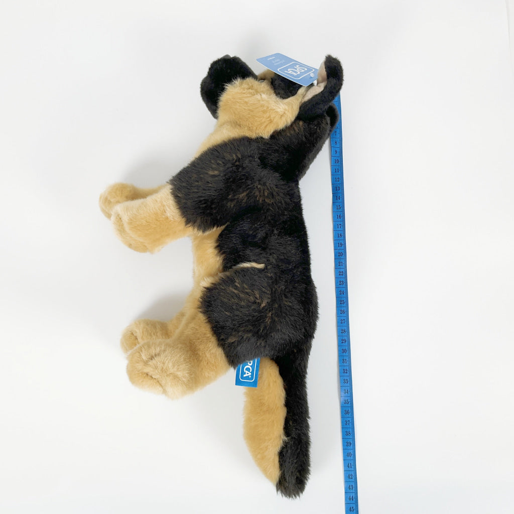 Spca - German Shepherd Dog