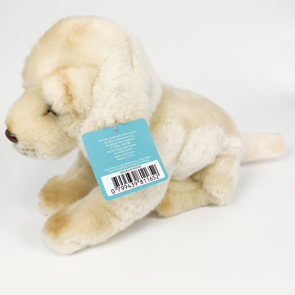 Spca - Golden Retriever Dog