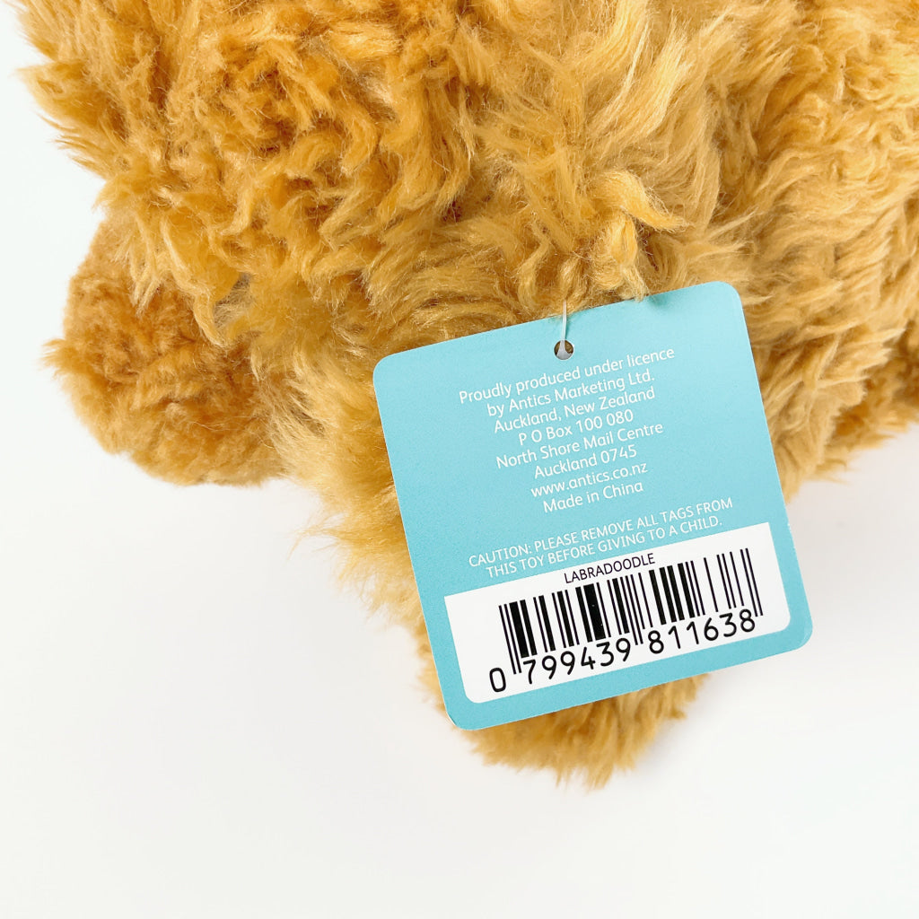 Spca - Labradoodle Dog