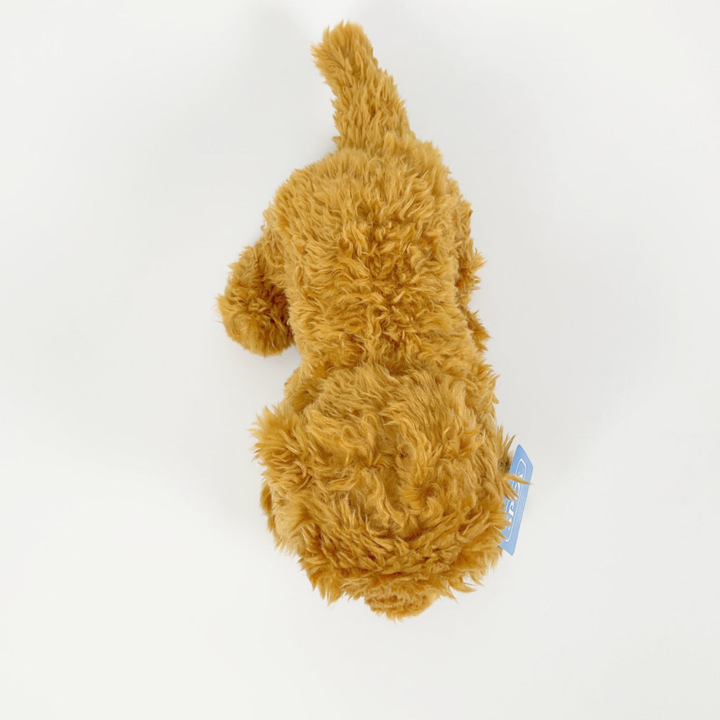 Spca - Labradoodle Dog