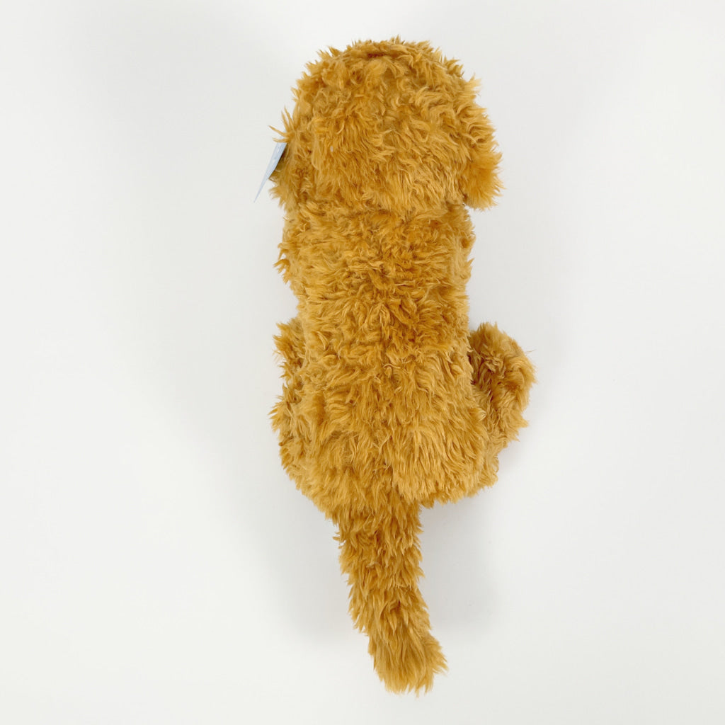 Spca - Labradoodle Dog