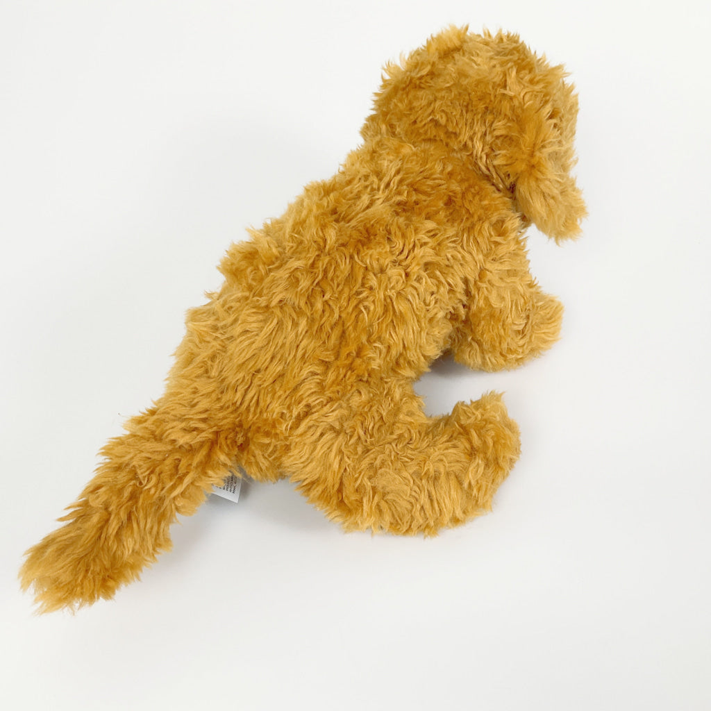 Spca - Labradoodle Dog