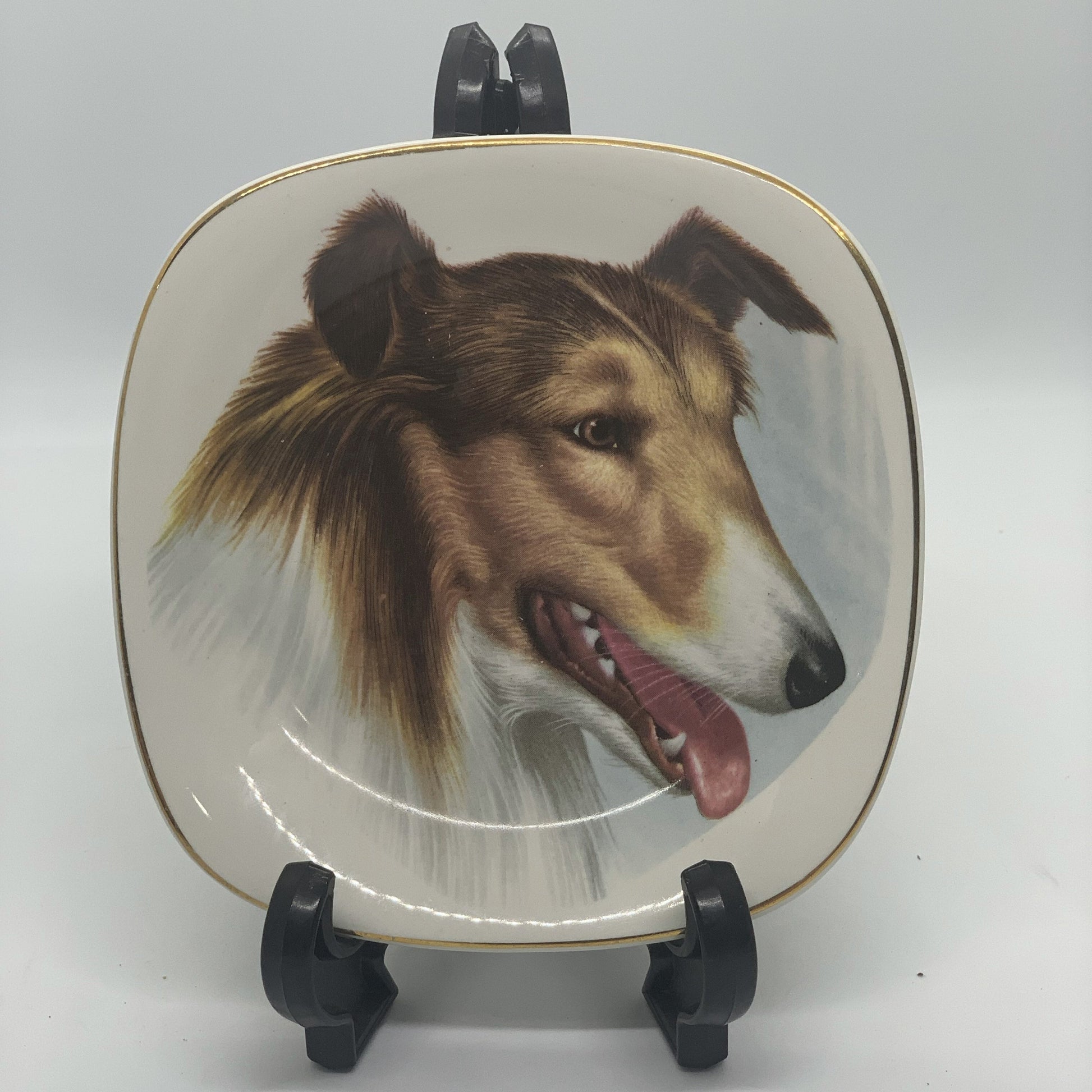 Enoch Wedgwood - Dog Plate Collectibles