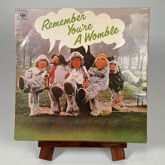 CBS- Remember You’re a Womble - Records & LPs