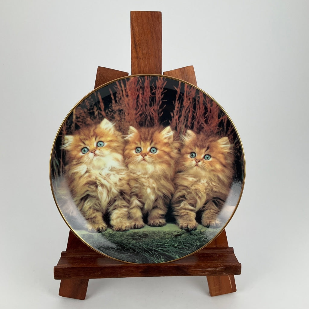 Purrfect Portraits - Three Little Kittens Collectable Plate