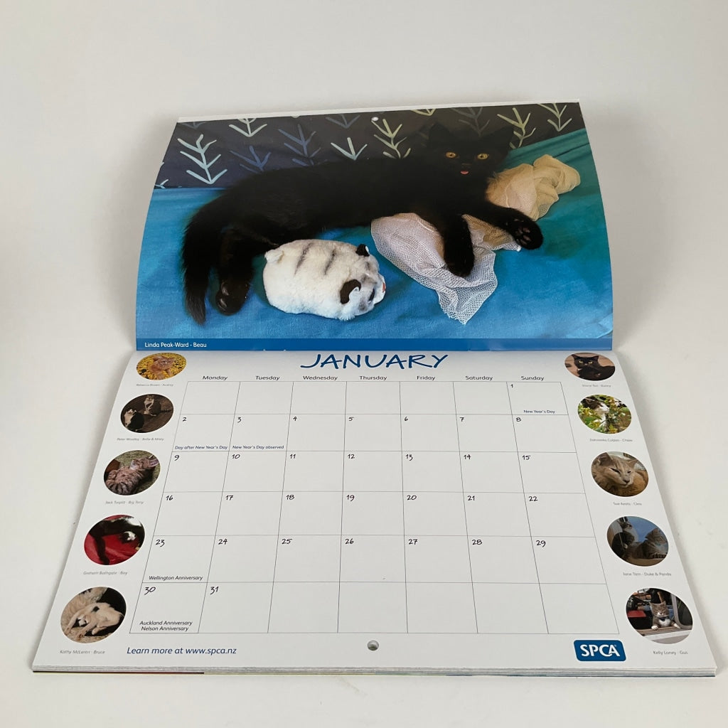 SPCA 2023 Annual Calendar - Cats - Calendars