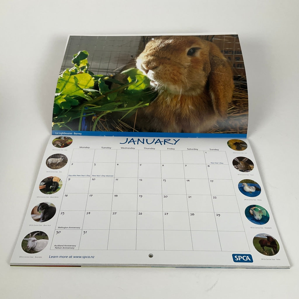 SPCA 2023 Annual Calendar - Other Animals - Calendars
